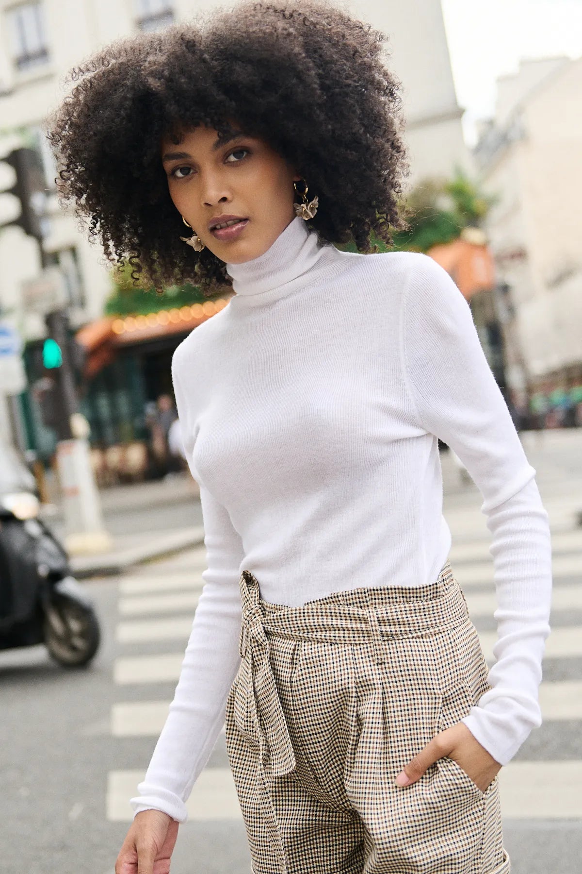 PULL HORTENSE
